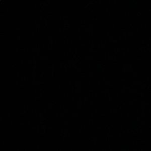 Meet your Posher, Kendall